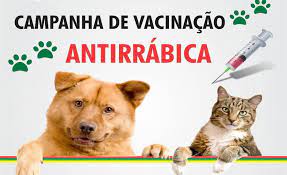 Imagem Campanha de vacinação Antirrábica